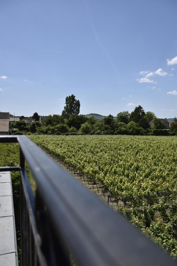 Manoir Henri Giraud & Spa Ay-Champagne Bagian luar foto